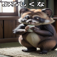 raccoon dog4