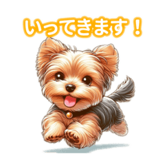 Simply adorable Yorkshire Terrier!