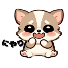 Chiwawa's Message