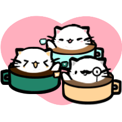 Daily life of three cute cats.