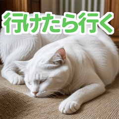 The Kansai Dialect White Cat