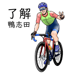 Kamoshida's realistic bicycle