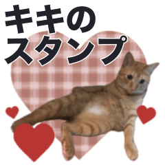 super cute cat kiki Stickers