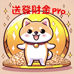 Cut Shiba dog is coming pro