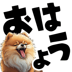 Large letters of a brown Pomeranian