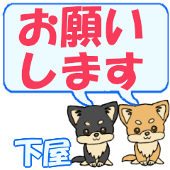 Shimoya's letters Chihuahua2