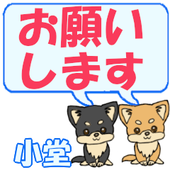 Kodou's letters Chihuahua2