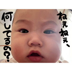 minorin_20240901035209