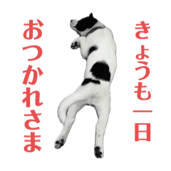 yukorin_20240901090614