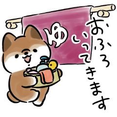 Sesame Shiba Inu Dog <Daily life>