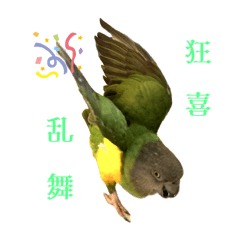 天才バティスタの全て③