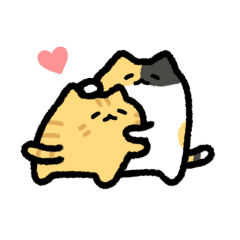 Cute cat communication