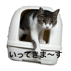 Decomi_20240901134244