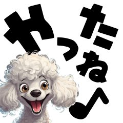 Large letters of a white poodle