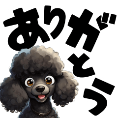 Large letters of the black poodle