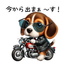 Beagle Dog  'Rally'Meeting Stickers