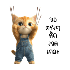 เจ้าเหมียวนักเล่นหวย