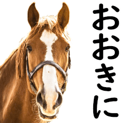 関西弁で競馬