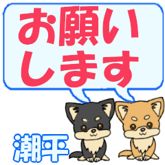 Shiohira's letters Chihuahua2