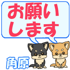 Tsunohara's letters Chihuahua2