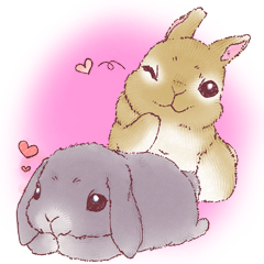 Rabbits Pom and Moko