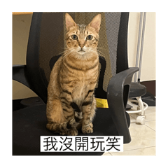 阿啾吧啦獨當一面篇