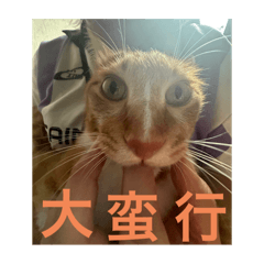 kanokun_20240901235916