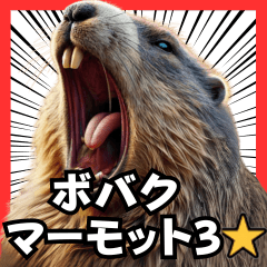 ⚫ボバクマーモット3⭐40匹セット