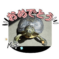 tomoyo_20240902103212