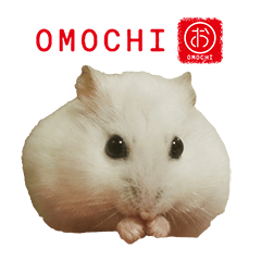 HAMSYER OMOCHI