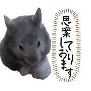 MURAKAMIX_20240902141332