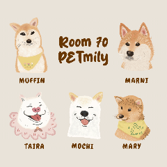 Room 70 Pet Family