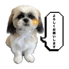 Yuuko_20240902071923