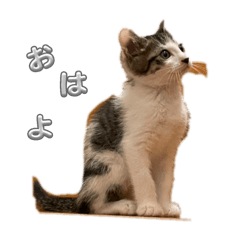 junko_20240902195837