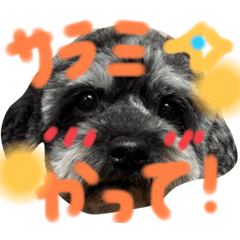 310_20240903070958