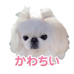 hiroru_20240903091645