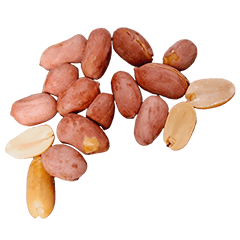 Food Series : Some Peanut #7