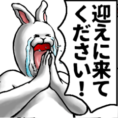 animal lovers02_pro_ver5