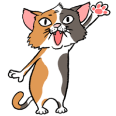 funny funny cat sticker