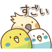 Wansaka birds 2