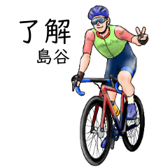 Shimatani's realistic bicycle