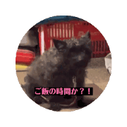 Izumi_20240904133711
