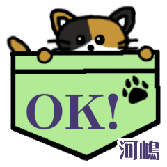 Kawashima's Pocket Cat's  [54]