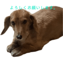 imouto_20240904155957