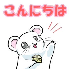 Winter white dwarf hamster Daifuku-chan