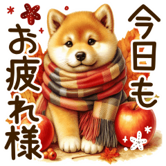 Shiba Inu's Big Letter