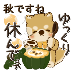 Shiba-inu (autumn)