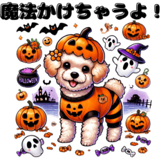 Fluffy Malpoo Lulu-chan Halloween