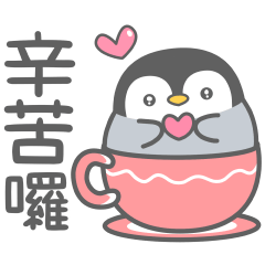 Baby penguin-11