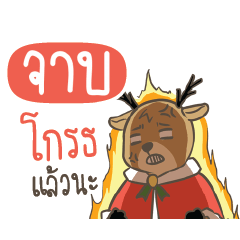 JAB Sugar Little Reindeer